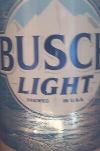 BUSCH LIGHT 12FL OZ