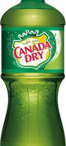 CANADA DRY GINGER ALE 20FL OZ
