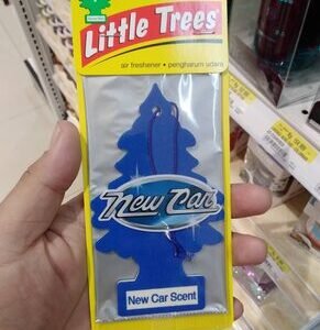 Little Trees New Car Scent