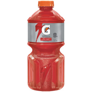 Gatorade Fruit Punch 64 Fl Oz